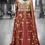 Red Red Banarsi Gown Double layered