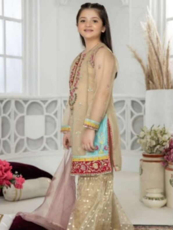 Pakistani girls Formal Khaki gharara