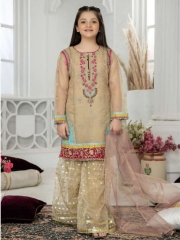 Pakistani girls Formal Khaki gharara