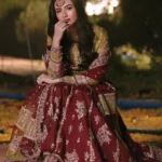 Qalamkar Ruby Royale_Luxury Formals (2)