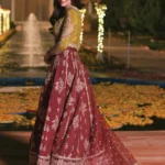 Qalamkar Ruby Royale_Luxury Formals (2)