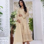 Quzey Almond Sparkle Chiffon Dress (1)