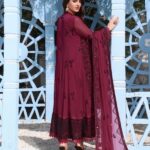 Quzey Deep Scarlet Chiffon Dress (1)