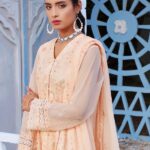 Quzey Peach Melba Long Dress