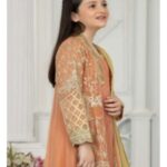 1 Pakistani Girls Peach Party Wear 1 -131. jpg