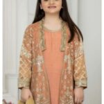 1 Pakistani Girls Peach Party Wear 1 -131. jpg