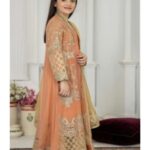 1 Pakistani Girls Peach Party Wear 1 -131. jpg