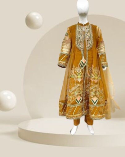 Kid's Embroidered Golden Dress