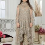 Pakistani Girls neutral Party Wear 4 – 132