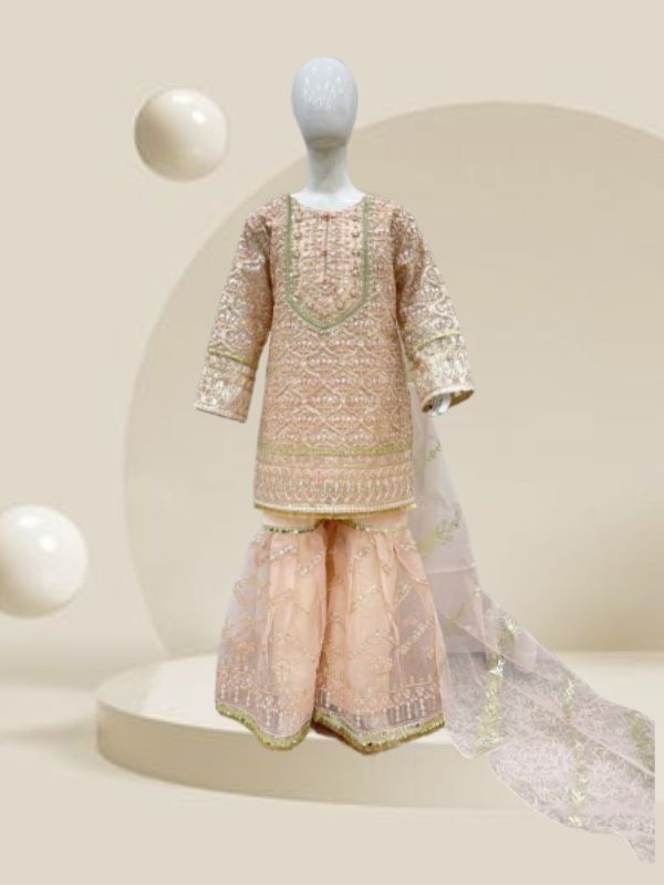 Pakistani Kid's Embroidered Dress