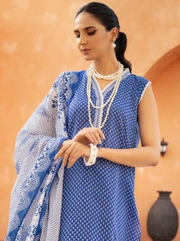 Blue Horizon Lawn Dress