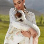 Summer in the Meadows – CL A6