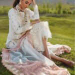 Summer in the Meadows – CL A6