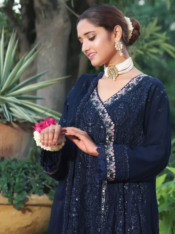 Midnight Express Chiffon Dress