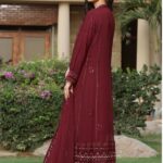 Monarch Chiffon Embroidered Dress (3)