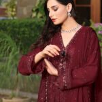 Monarch Chiffon Embroidered Dress (3)