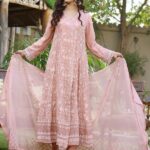 Pink Flare Chiffon Dress