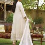 Soft Amber Chiffon Dress (3)