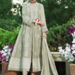 Tana Chiffon Embroidered Dress