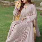 Tide Chiffon Embroidered Dress (2)