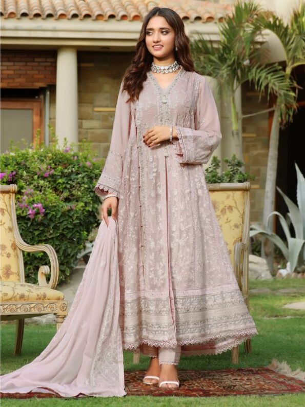 Tide Chiffon Embroidered Dress