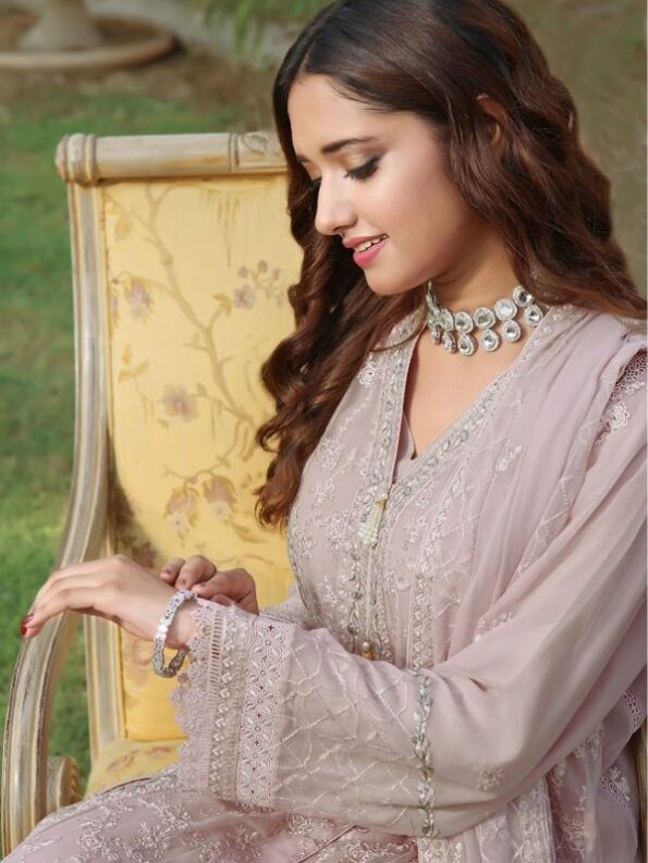 Tide Chiffon Embroidered Dress