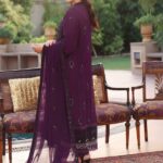 Toledo Chiffon Embroidered Dress (2)