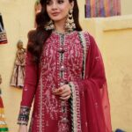 Vivid Burgundy Formal Dress (1)