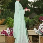 Zanah Chiffon Embroidered Dress (3)