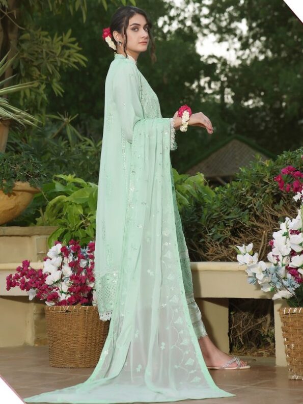 Zanah Chiffon Embroidered Dress