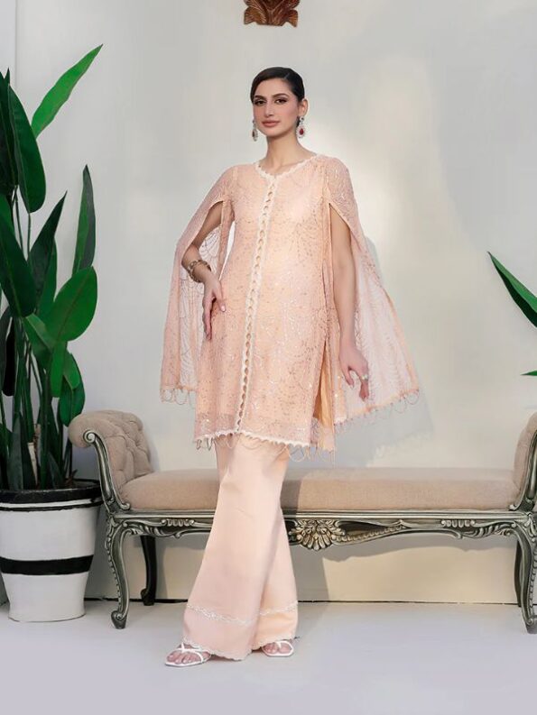 Peach Formal Dress - Ain