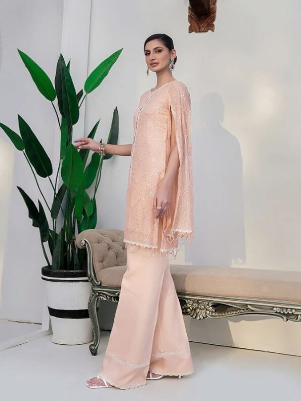 Peach Formal Dress - Ain
