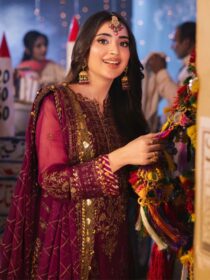 Asim Jofa Chiffon - 18