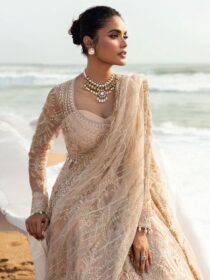Afrozeh Net - Afsheen