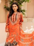 Quzey DSZC 2456 – Orange (3)