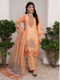 Quzey DSZC 2456 - Peach
